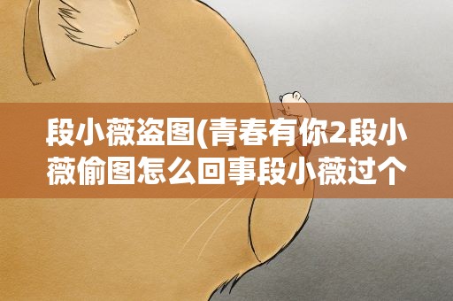 段小薇盗图(青春有你2段小薇偷图怎么回事段小薇过个人资料家境曝光)