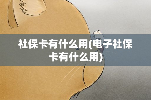 社保卡有什么用(电子社保卡有什么用)