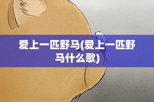 爱上一匹野马(爱上一匹野马什么歌)