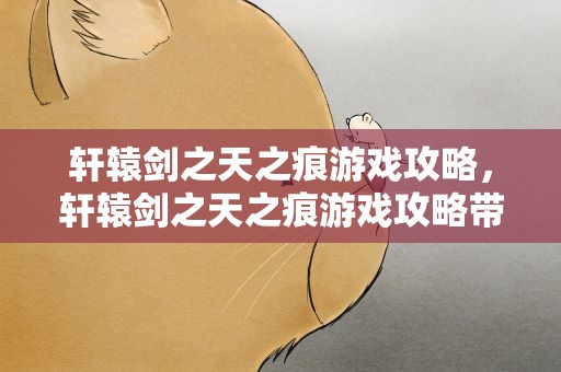 轩辕剑之天之痕游戏攻略，轩辕剑之天之痕游戏攻略带图