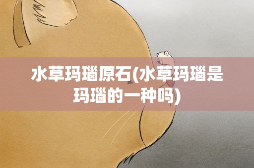 水草玛瑙原石(水草玛瑙是玛瑙的一种吗)