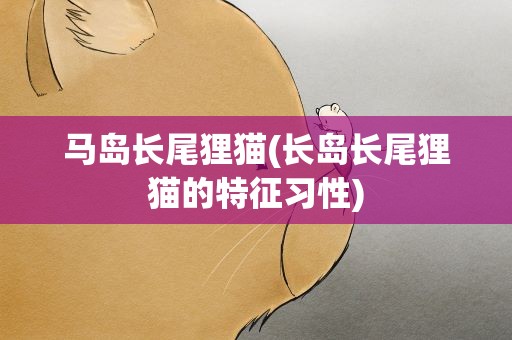 马岛长尾狸猫(长岛长尾狸猫的特征习性)