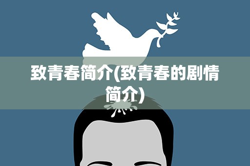 致青春简介(致青春的剧情简介)