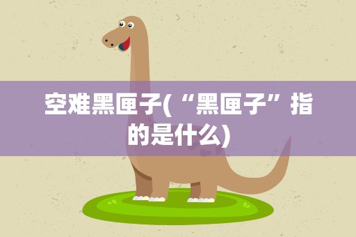 空难黑匣子(“黑匣子”指的是什么)