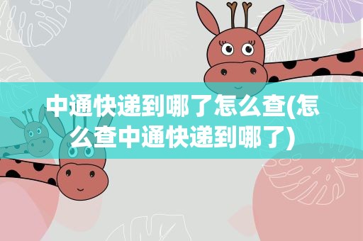 中通快递到哪了怎么查(怎么查中通快递到哪了)