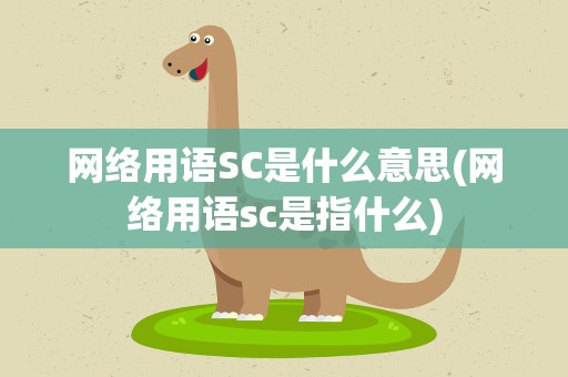 网络用语SC是什么意思(网络用语sc是指什么)