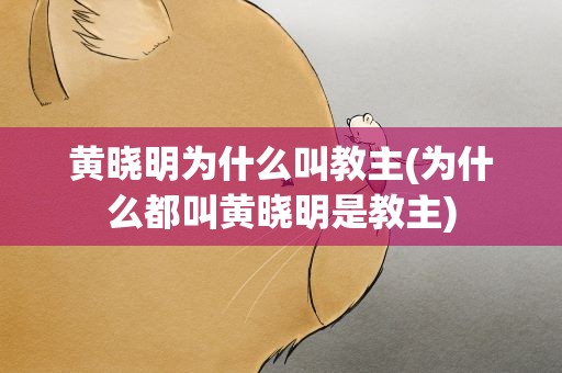 黄晓明为什么叫教主(为什么都叫黄晓明是教主)