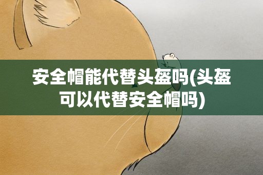安全帽能代替头盔吗(头盔可以代替安全帽吗)