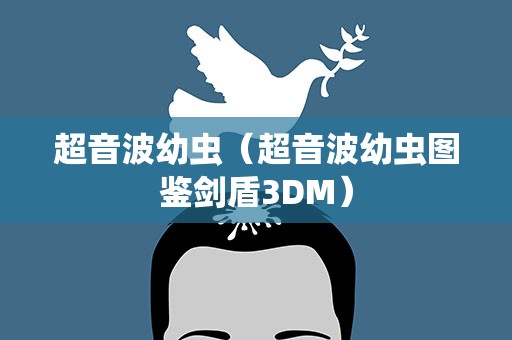 超音波幼虫（超音波幼虫图鉴剑盾3DM）