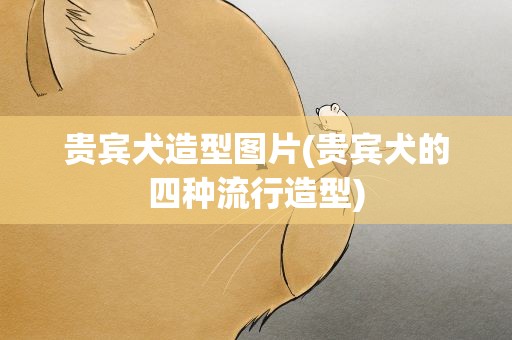 贵宾犬造型图片(贵宾犬的四种流行造型)