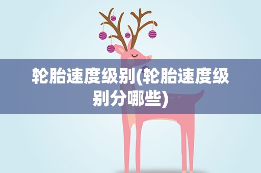 轮胎速度级别(轮胎速度级别分哪些)