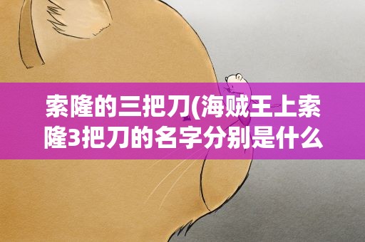索隆的三把刀(海贼王上索隆3把刀的名字分别是什么)