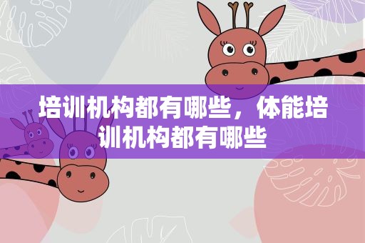 培训机构都有哪些，体能培训机构都有哪些