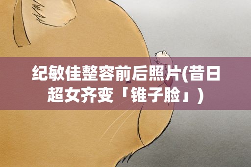纪敏佳整容前后照片(昔日超女齐变「锥子脸」)