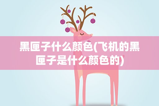 黑匣子什么颜色(飞机的黑匣子是什么颜色的)