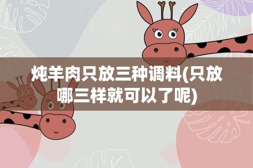 炖羊肉只放三种调料(只放哪三样就可以了呢)