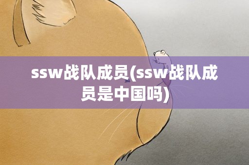 ssw战队成员(ssw战队成员是中国吗)