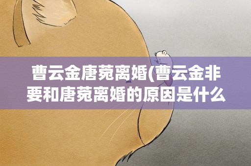 曹云金唐菀离婚(曹云金非要和唐菀离婚的原因是什么)