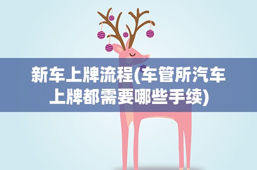 新车上牌流程(车管所汽车上牌都需要哪些手续)