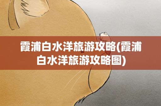霞浦白水洋旅游攻略(霞浦白水洋旅游攻略图)
