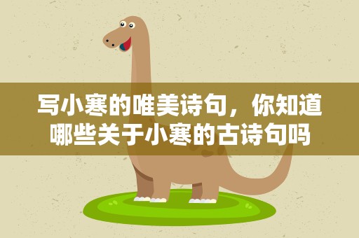 写小寒的唯美诗句，你知道哪些关于小寒的古诗句吗