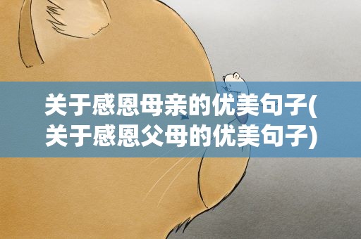 关于感恩母亲的优美句子(关于感恩父母的优美句子)