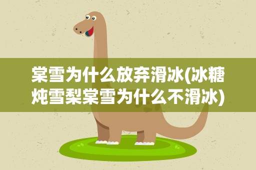 棠雪为什么放弃滑冰(冰糖炖雪梨棠雪为什么不滑冰)