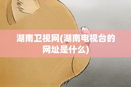湖南卫视网(湖南电视台的网址是什么)
