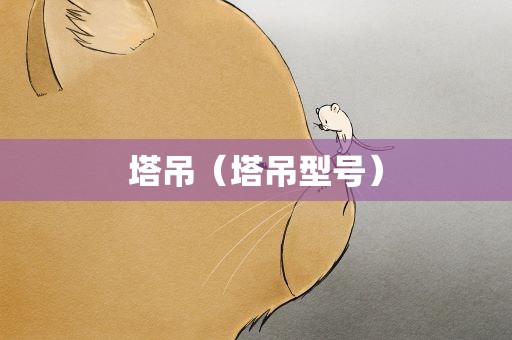 塔吊（塔吊型号）