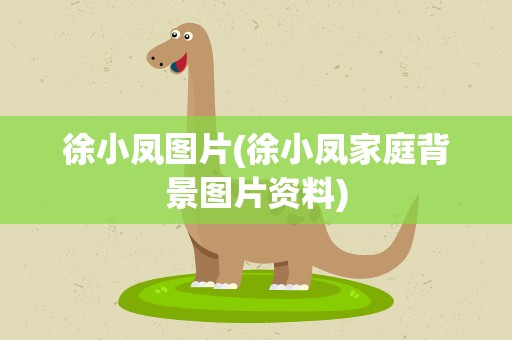 徐小凤图片(徐小凤家庭背景图片资料)