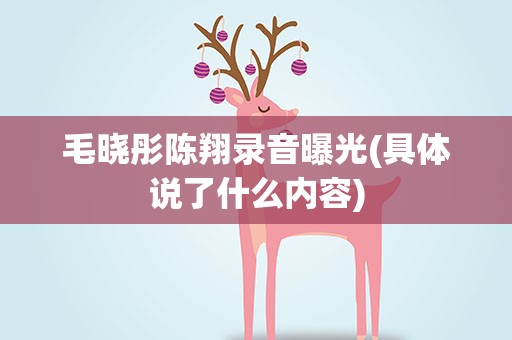 毛晓彤陈翔录音曝光(具体说了什么内容)