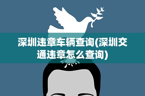 深圳违章车辆查询(深圳交通违章怎么查询)