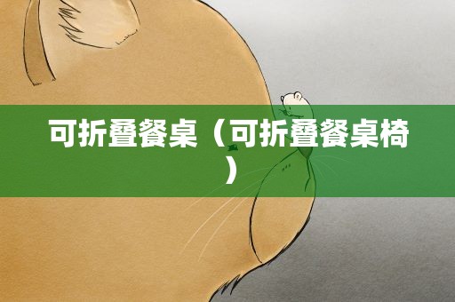 可折叠餐桌（可折叠餐桌椅）