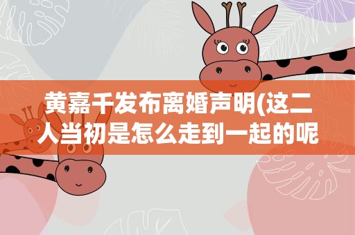 黄嘉千发布离婚声明(这二人当初是怎么走到一起的呢)