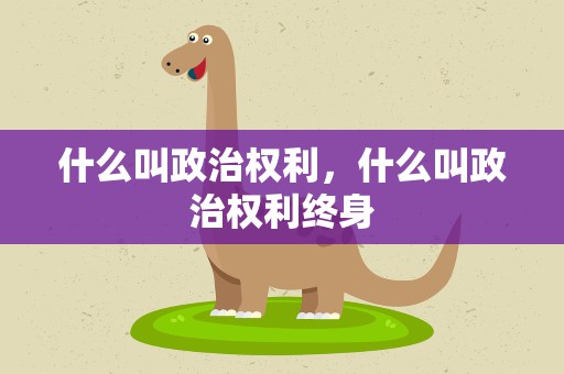 什么叫政治权利，什么叫政治权利终身