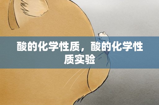 酸的化学性质，酸的化学性质实验