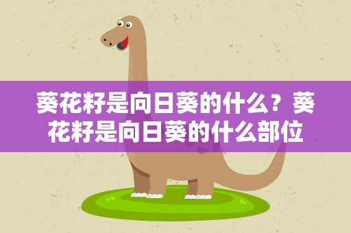 葵花籽是向日葵的什么？葵花籽是向日葵的什么部位