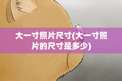 大一寸照片尺寸(大一寸照片的尺寸是多少)