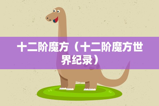 十二阶魔方（十二阶魔方世界纪录）
