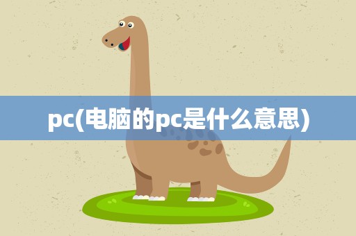 pc(电脑的pc是什么意思)