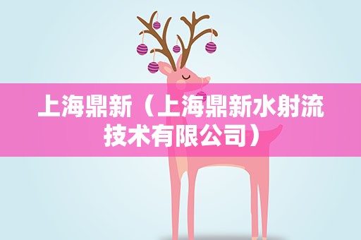 上海鼎新（上海鼎新水射流技术有限公司）