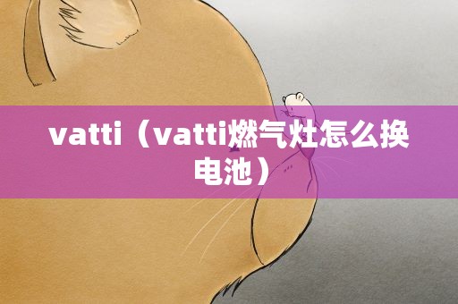 vatti（vatti燃气灶怎么换电池）