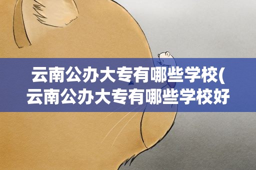 云南公办大专有哪些学校(云南公办大专有哪些学校好)