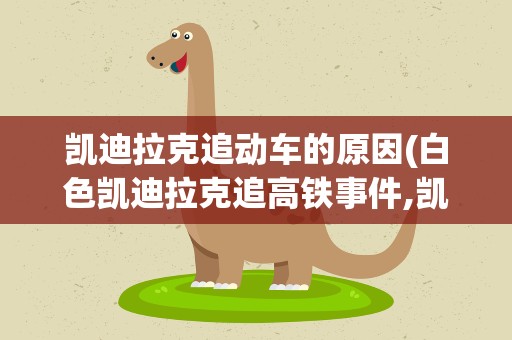 凯迪拉克追动车的原因(白色凯迪拉克追高铁事件,凯迪拉克追高铁是为什么)
