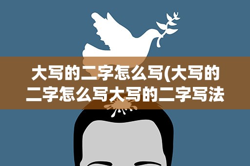 大写的二字怎么写(大写的二字怎么写大写的二字写法是什么)