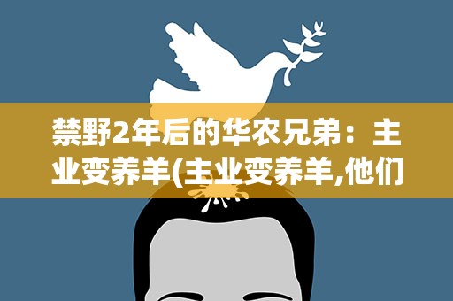禁野2年后的华农兄弟：主业变养羊(主业变养羊,他们靠养羊这两年赚了多少)