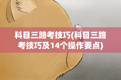 科目三路考技巧(科目三路考技巧及14个操作要点)