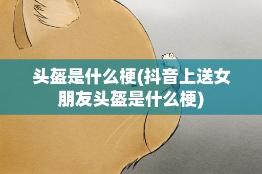 头盔是什么梗(抖音上送女朋友头盔是什么梗)