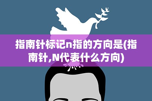指南针标记n指的方向是(指南针,N代表什么方向)