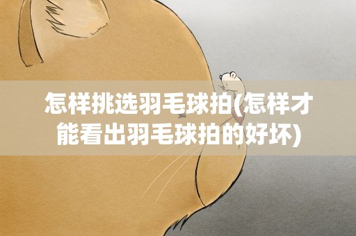 怎样挑选羽毛球拍(怎样才能看出羽毛球拍的好坏)